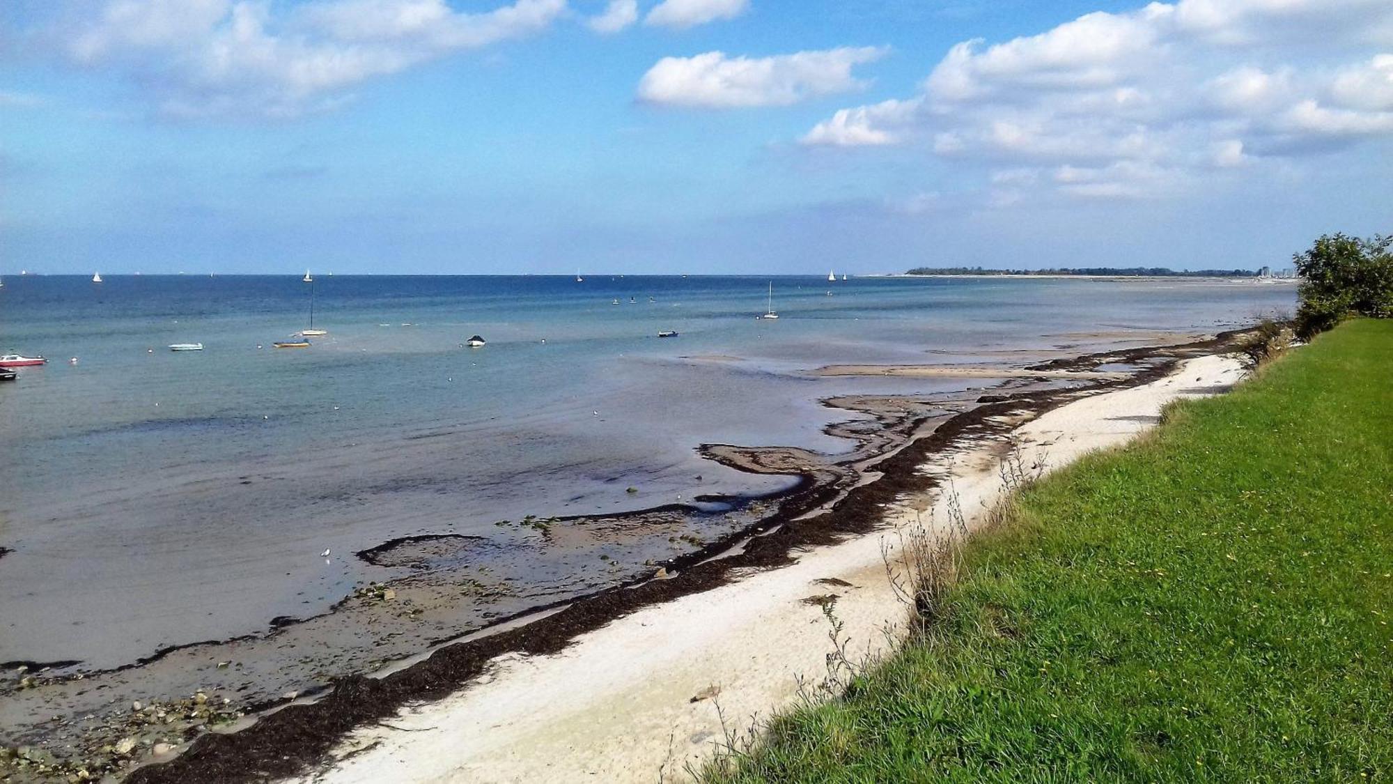 Ferienwohnung-Ostseestrand-In-Stein-Bei-Laboe Stein  Buitenkant foto